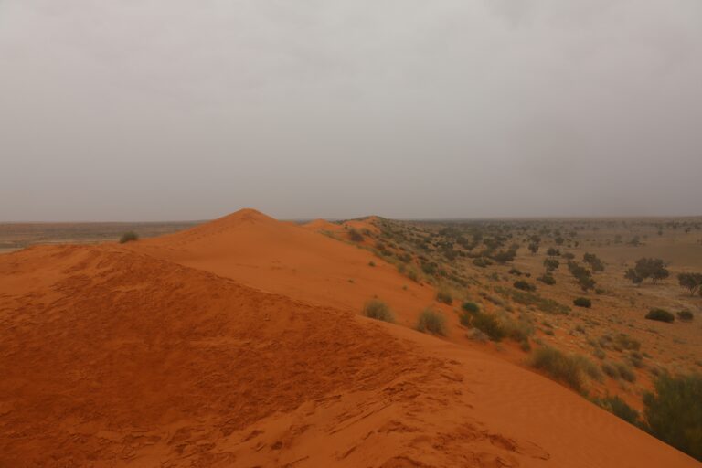 deserto australiano ambientazione del libro L'indomabile e misteriossissima Miles Franklin di Alexandra Lapierre