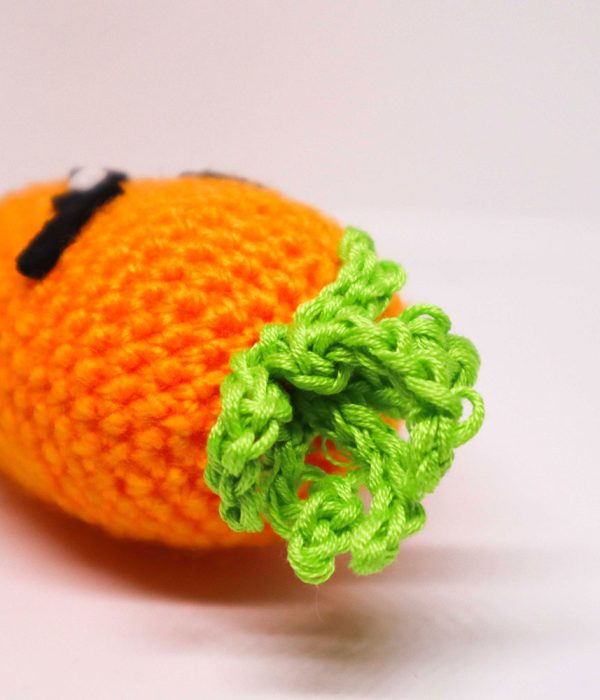 carota-kid-amigurumi